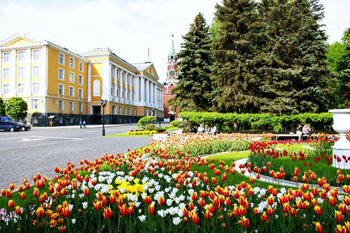 Клумба в кремлевском сквере
